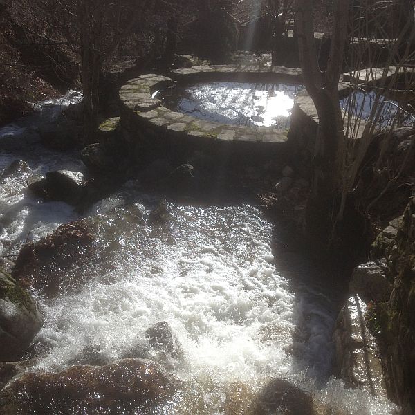 Wasser im &Uuml;berfluss