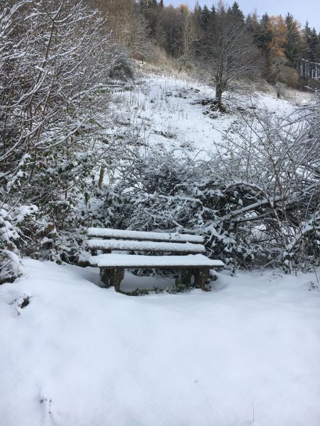 B&auml;nkle im Winter