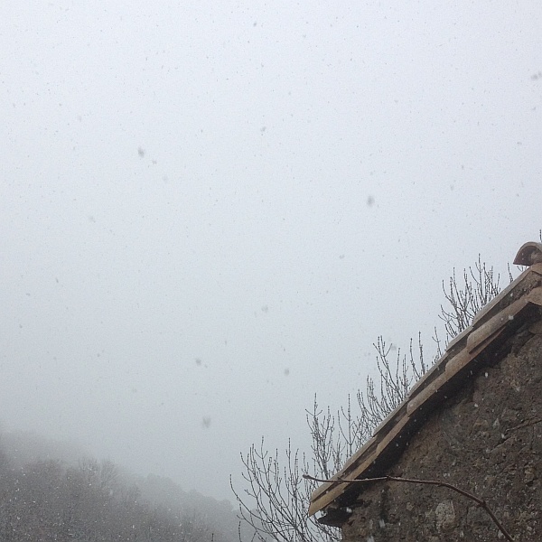 18.1.2016, 10 Uhr 37