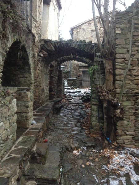 Die tr&uuml;be Galerie